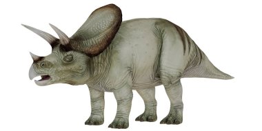 Beyaz arka planda gerçekçi triceratops dinozor modeli.