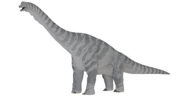 Tarafsız arkaplanda Majestic Brontosaurus