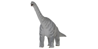 Uzun boyunlu gri oyuncak dinozor modeli.