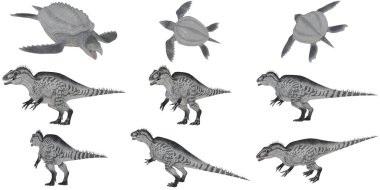 Dinozorların ve tarih öncesi bir kaplumbağanın tasviri