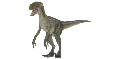 Beyaz arkaplanda gerçekçi Velociraptor dinozoru.