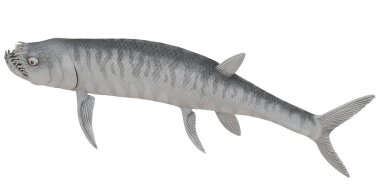 Belirgin özelliklere sahip tarih öncesi bir balığın tasviri.