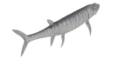 Eski bir balığın üç boyutlu detaylı tasviri.