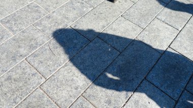 Güneş ışığıyla kaplı asfalt üzerinde gölge