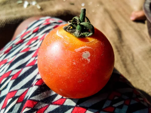 Yıpranmış bir domatesin seçici odağı