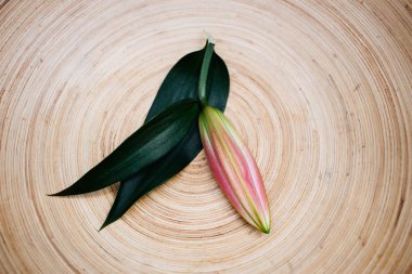 Lily bud bir ahşap plaka üzerinde