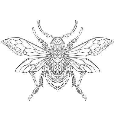 Zentangle stilize böceği böcek