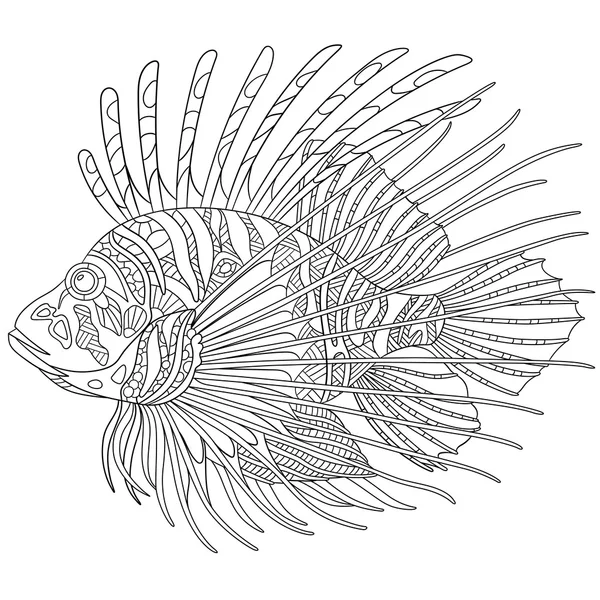 Zentangle stylized zebrafish (lionfish) — Stock Vector