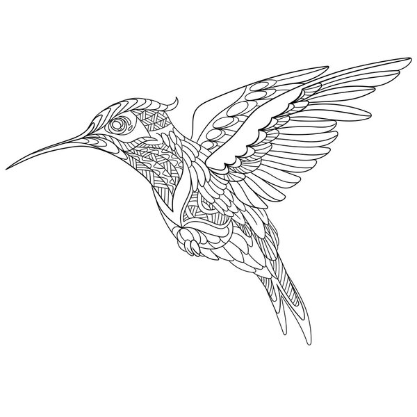 Zentangle stylized hummingbird