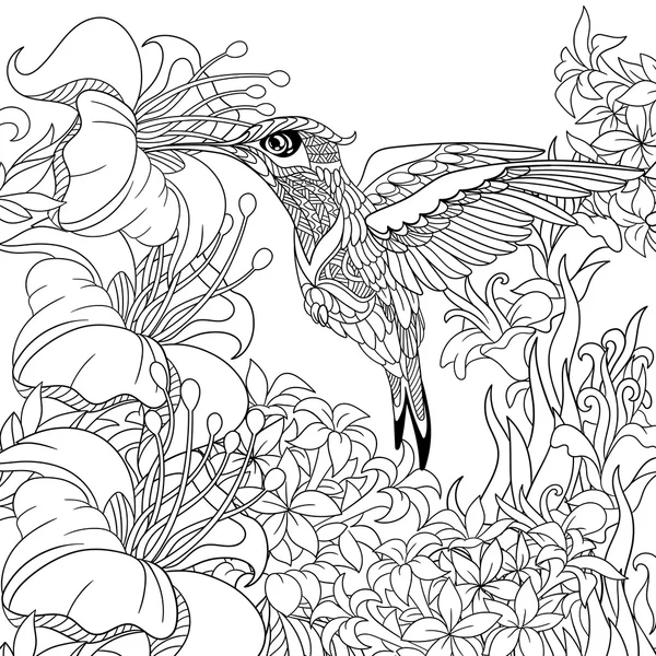 Zentangle gestileerd Hummingbird — Stockvector