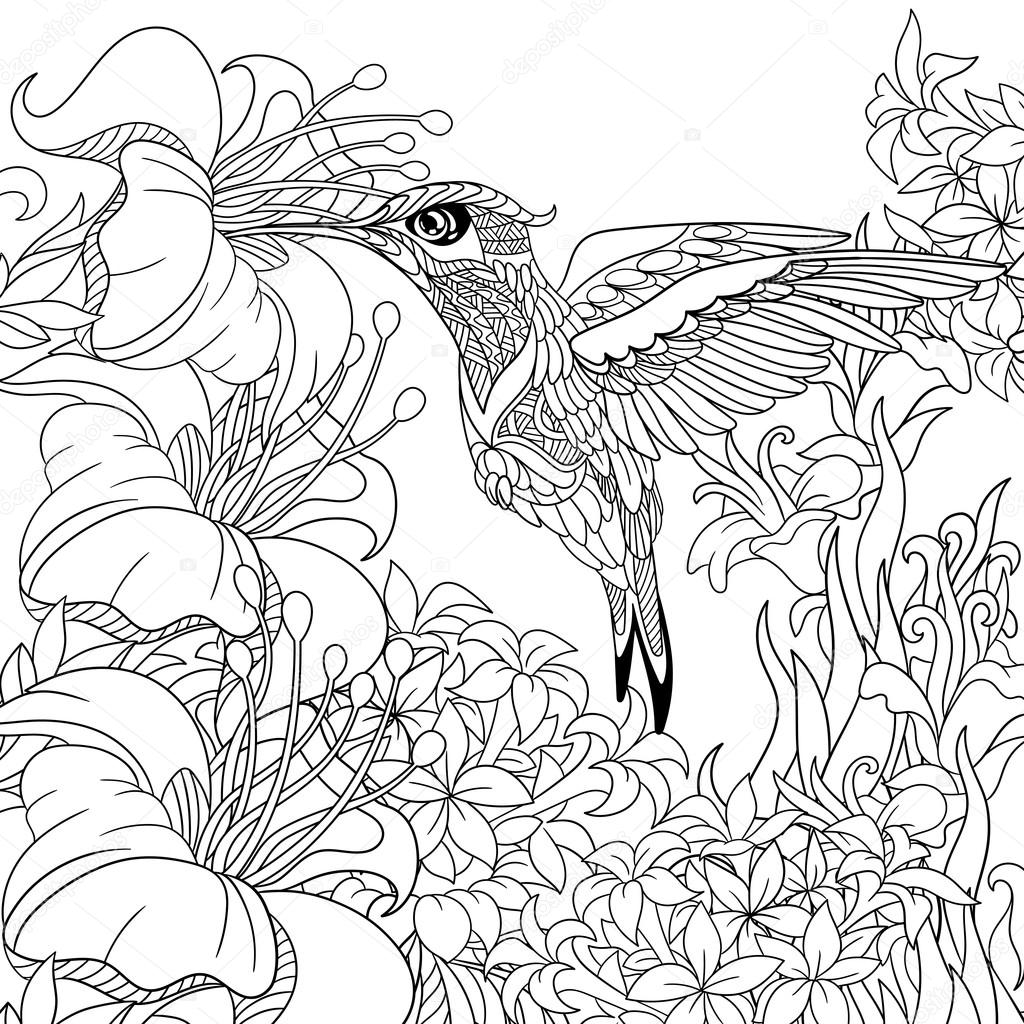 stylisés Colibri — Image vectorielle Zentangle stylisée Colibri cartoon volent autour plein de nectar de fleurs Dessin pour adultes Coloriage anti stress La main doodle dessiné zentangle
