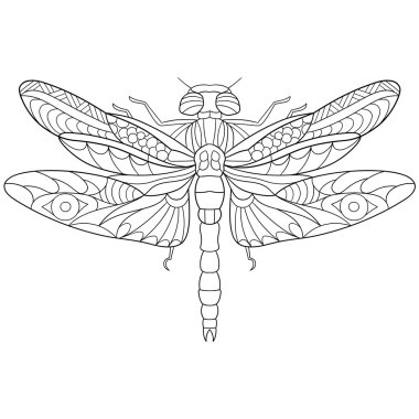 Zentangle stilize yusufçuk böcek