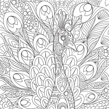 Zentangle stilize tavus kuşu