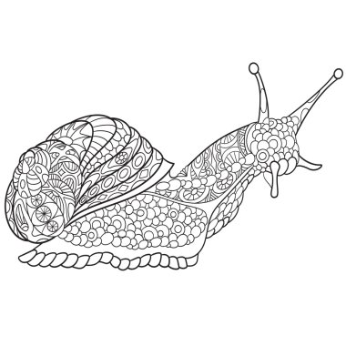 Zentangle stilize salyangoz
