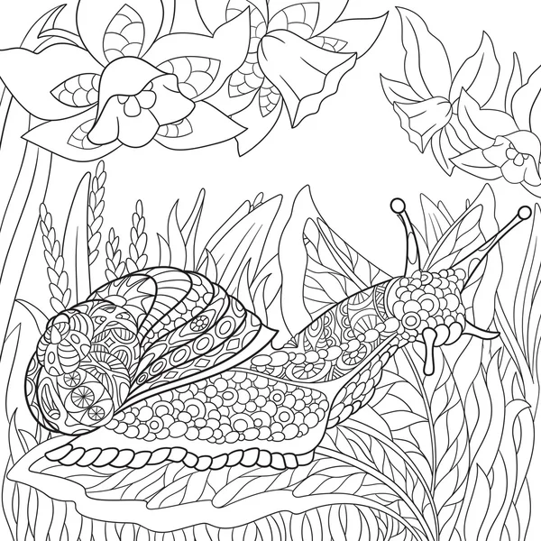 Escargot stylisé Zentangle — Image vectorielle