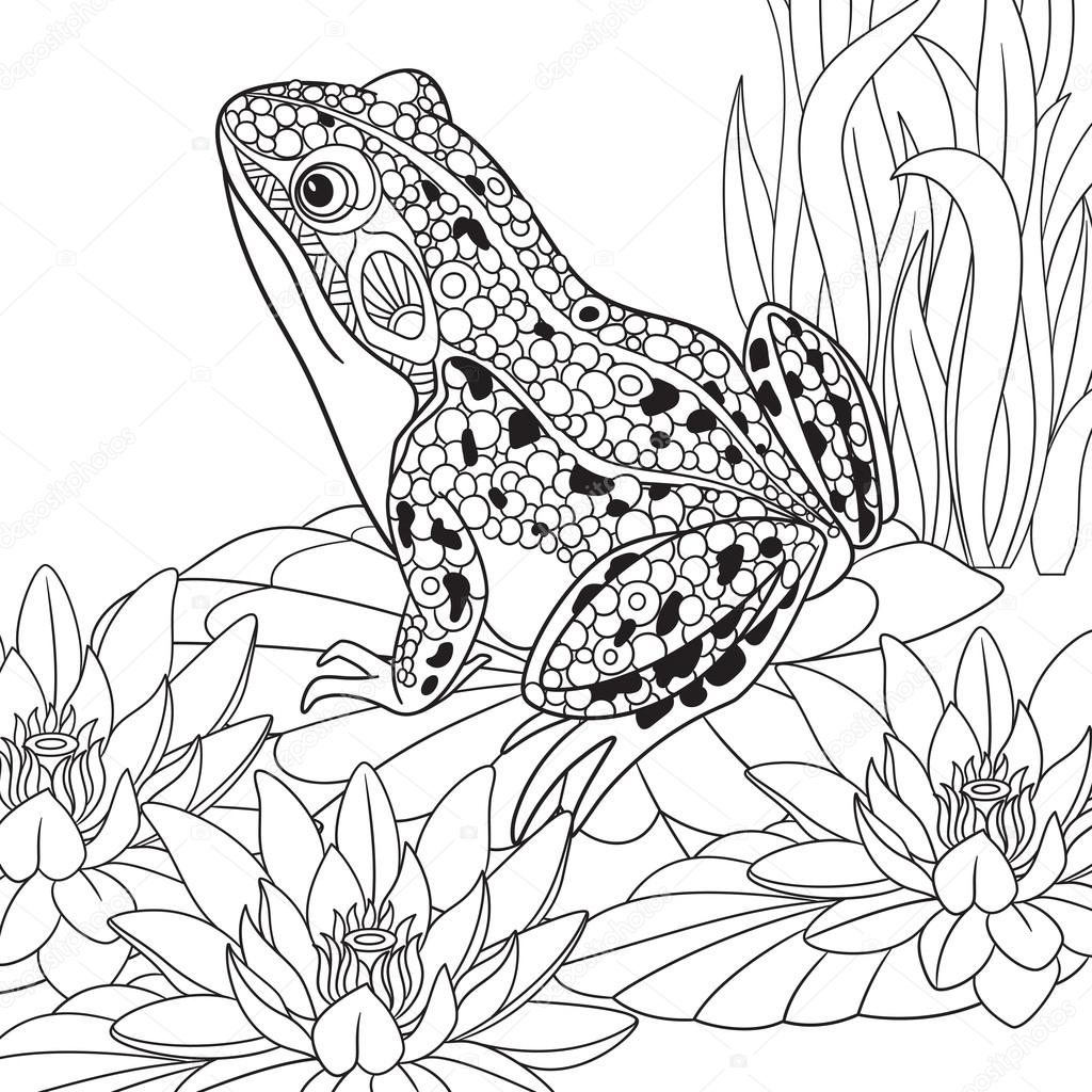 Zentangle stylisée grenouille caricature assis parmi les fleurs de lotus lis de l eau Dessin pour adultes Coloriage anti stress La main doodle dessiné