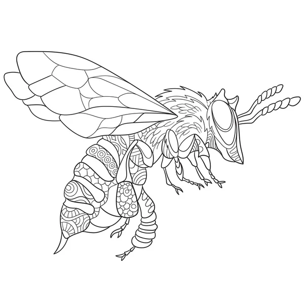 Zentangle stylisé insecte abeille — Image vectorielle