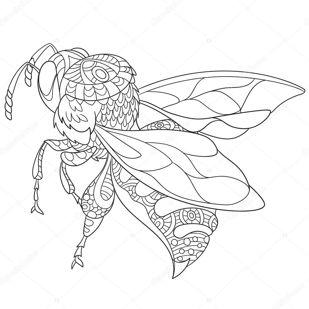 Zentangle stylized bee insect