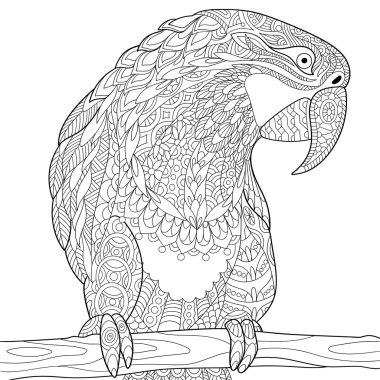 Zentangle stilize papağan - Amerika papağanı