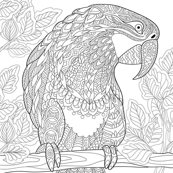 Zentangle stilize papağan - Amerika papağanı