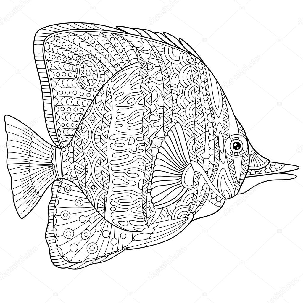 Zentangle stylized cartoon butterfly fish, isolated on white background. Hand drawn sketch for adult antistress coloring page, T-shirt emblem, logo, tattoo with doodle, zentangle, floral elements.