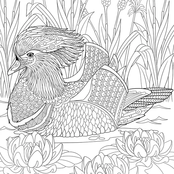 Zentangle pato mandarina estilizado —  Vetores de Stock