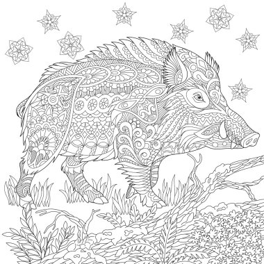 Zentangle stilize yaban domuzu