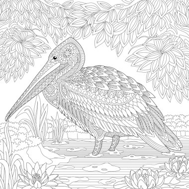 Stilize Zentangle Pelikan kuşu