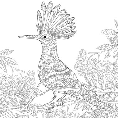 Stilize Zentangle ibibik