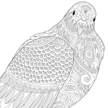 Zentangle stilize güvercin veya güvercin