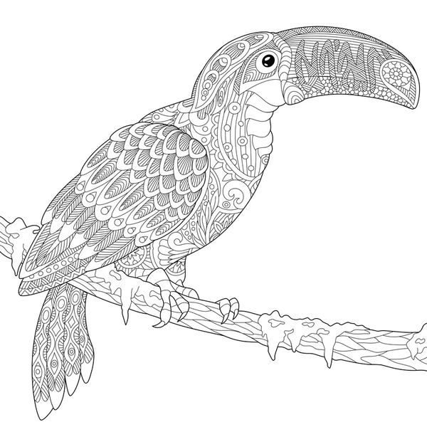 Zentangle stilize toucan — Stok Vektör