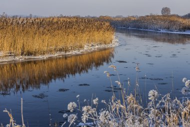 Kış başlangıcı.