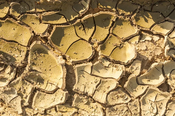 Cracked, dry ground arable. Drought in agriculture. — Stock Photo, Image