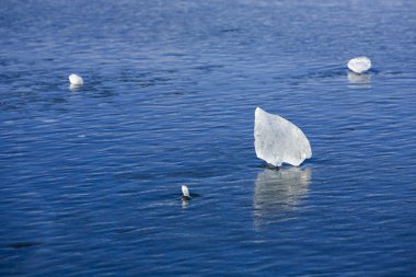 Serin mavi buz tabakaları.
