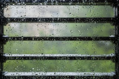 Raindrops on window glass. Rainy day. clipart