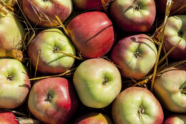 Manzanas jugosas . —  Fotos de Stock