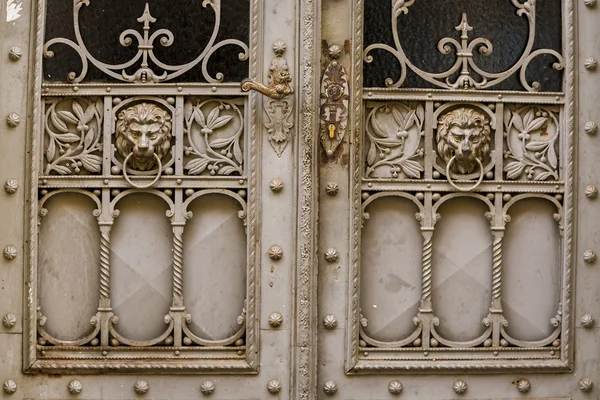 Fragment of old metal door. — Stock Photo, Image