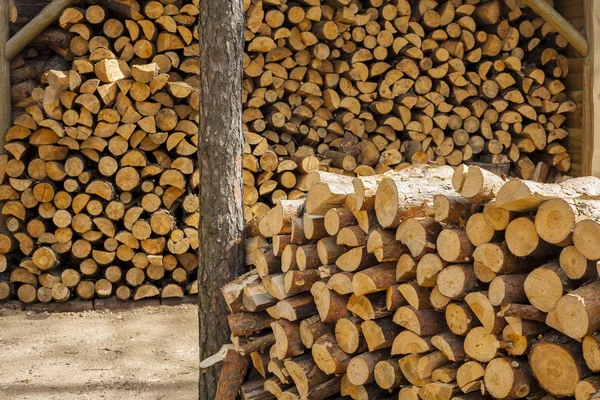 Wood for fuel and for fireplaces. — Stock Photo, Image