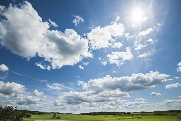 Agricultural landscape. — Stock Photo, Image