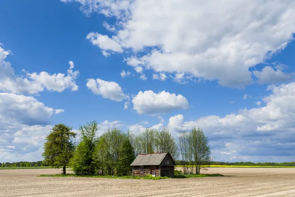 Agrarlandschaft. — Stockfoto