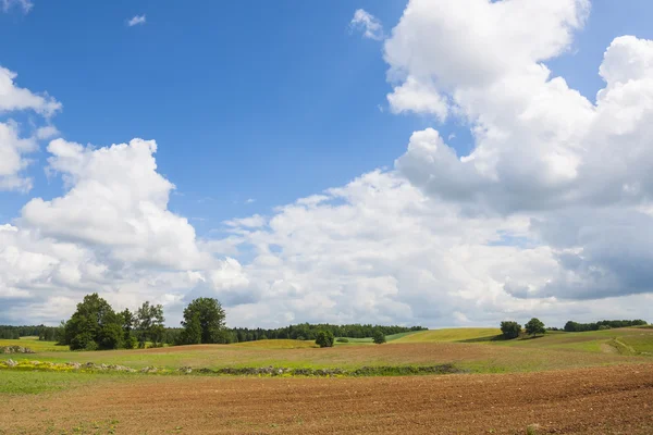 Zemědělská krajina, letní čas. — Stock fotografie