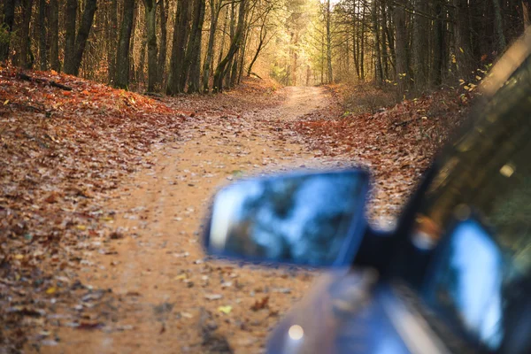 Route forestière à l'automne. se concentrer sur la route . — Photo