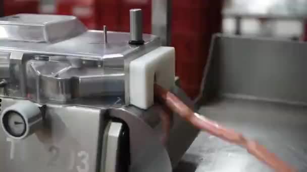 Processo Semiautomático Para Produção Salsichas Salsichas Indústria Alimentar Transportador — Vídeo de Stock