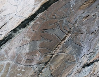 Resim rock. Petroglifler Tomsk pisanitsa