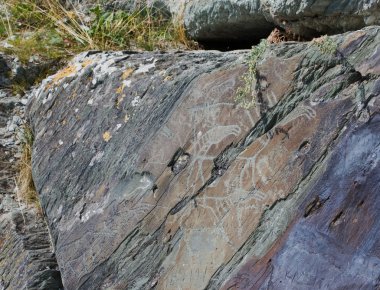 Resim rock. Petroglifler Tomsk pisanitsa