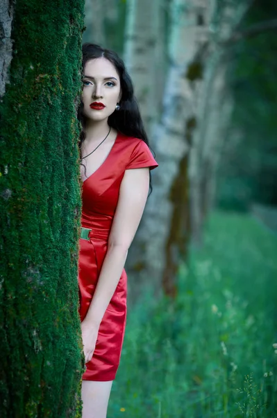 Portrait de la brune en robe rouge en forêt — Photo