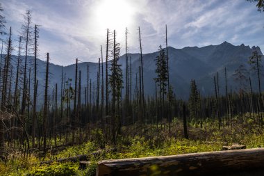 Çevredeki dağ tepelerinden güzel manzaralar.