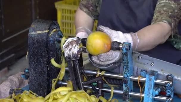 台湾女工用剥皮机剥去鳗鱼皮 制做鳗鱼干保鲜食品 — 图库视频影像