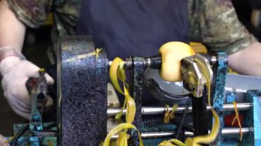 Kadın işçi Tayvan 'da kurutulmuş hurma yapmak için hurma soyma makinesi kullanıyor..