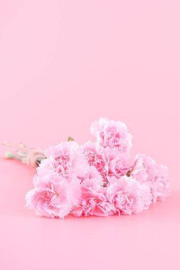 Anneler Günü hediye tasarımı, pembe karanfilli çiçek buketi, açık pembe arka planda izole edilmiş, kopyalama alanı..